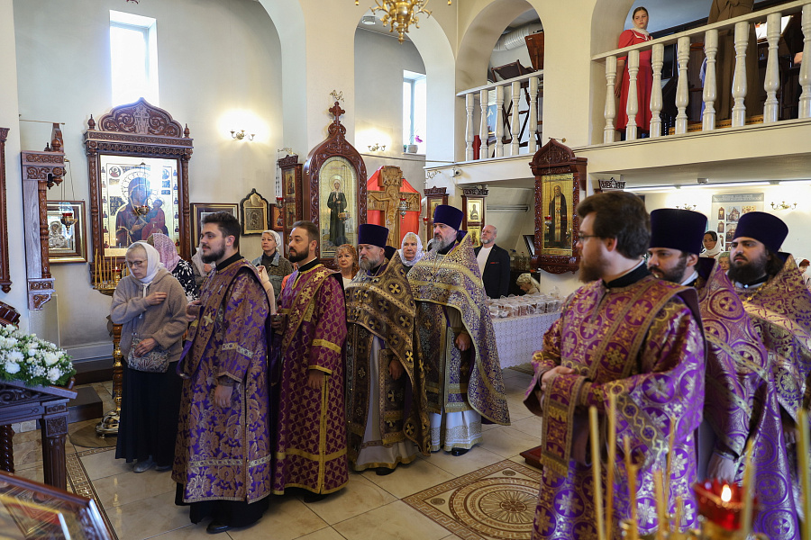 Архипастырский визит в Богородское благочиние